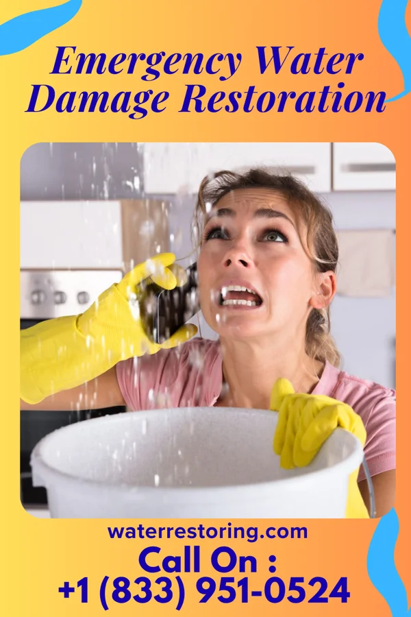 Emergency Water Damage Restoration in Summit View, WA