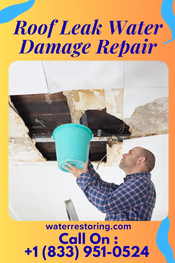 Roof Leak Water Damage Repair in Summit View, WA