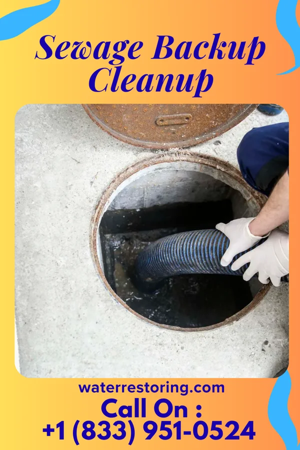 Sewage Backup Cleanup in Summit View, WA
