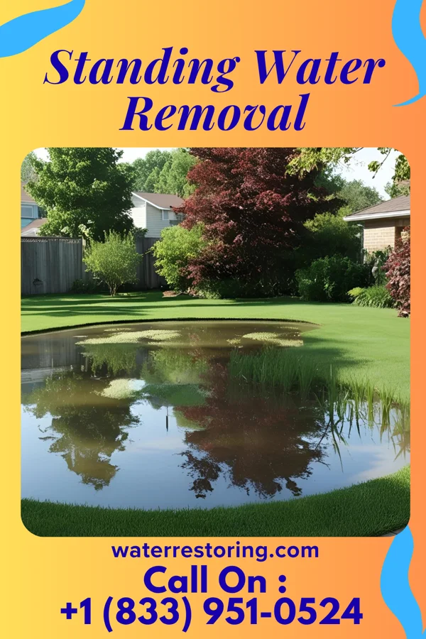 Standing Water Removal in Summit View, WA